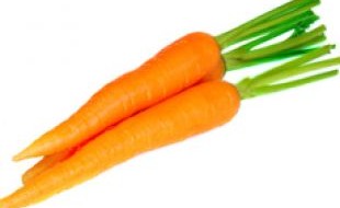 Морковь спелая на фото